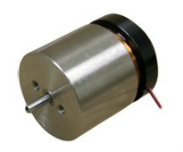 Linear Voice Coil Motor with Internal Bearing